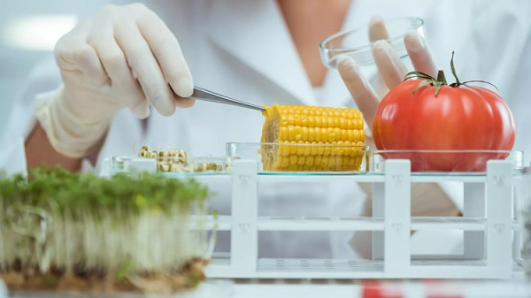 Top 10 Trường đại học đào tạo ngành Công nghệ Link vào Cwin Cá Cược Thể Thao 2026 tốt nhất Việt Nam