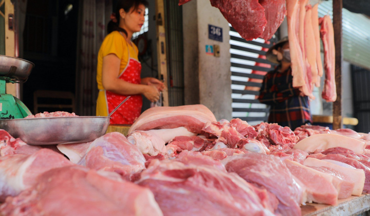 Giá heo hơi hôm nay 6/11: Kỳ vọng đặt vào dịp Tết Nguyên đán