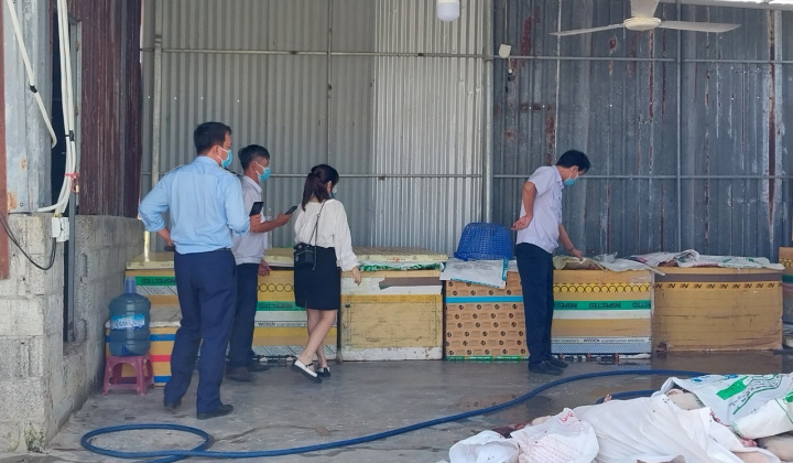 Báo động Link vào Cwin Cá Cược Thể Thao 2026 bẩn đang lưu hành trên thị trường