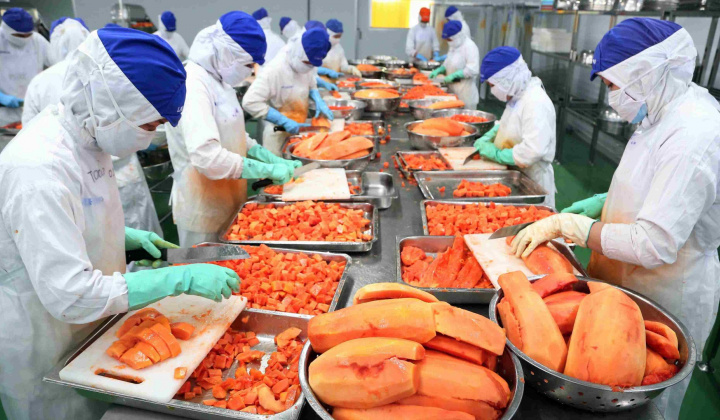 Một số giải pháp nâng cao hiệu quả kinh doanh của các doanh nghiệp xuất khẩu nông sản Việt Nam
