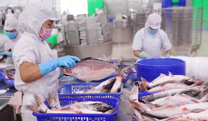 Vĩnh Hoàn (VHC): Doanh thu tháng 4/2023 giảm 47%, Cwin Đăng Ký + 1888k cá tra sang các thị trường trọng điểm giảm sâu