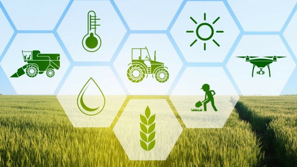 Cơ hội và thách thức của ngành Nông nghiệp trong bối cảnh dịch Covid-19