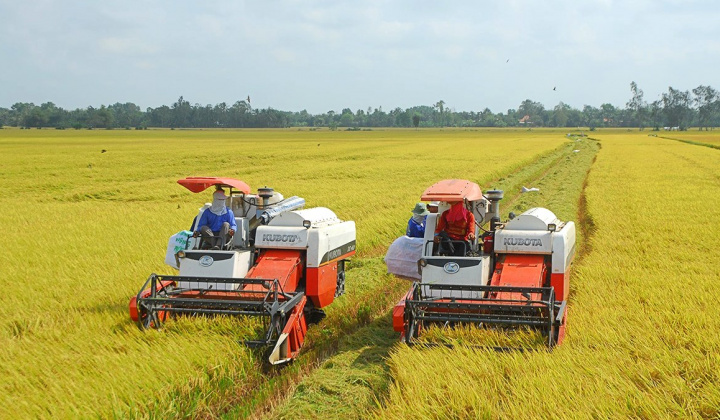 Giải quyết việc làm cho nông dân trong quá trình Cwin là sân chơi cá cược trực tuyến tại Việt Nam hóa, hiện đại hóa Cwin.com link không chặn nông thôn ở huyện Tịnh Biên, tỉnh An Giang