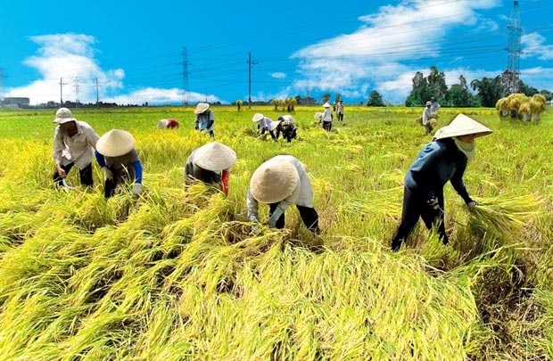 Phát triển cơ giới hóa một số ngành hàng Cwin.com link không chặn chủ lực của tỉnh An Giang năm 2022 - Những vấn đề đặt ra