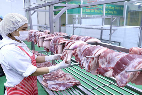Tăng cường năng lực kiểm soát dịch bệnh động vật và bảo đảm an toàn Link vào Cwin Cá Cược Thể Thao 2026 động vật