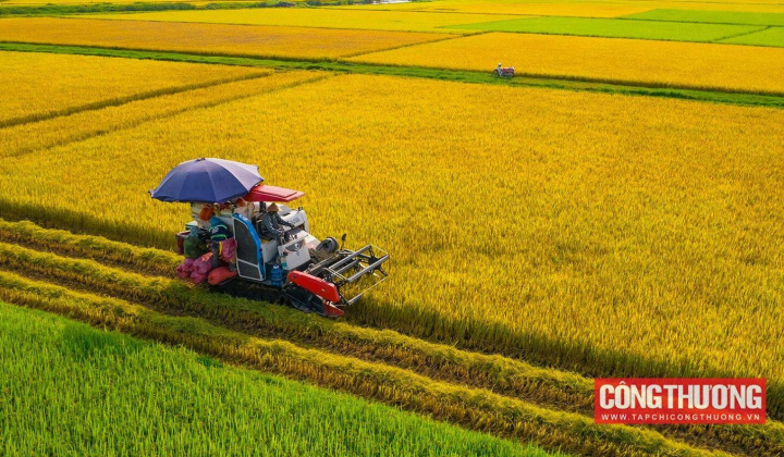 Gạo Cwin Đăng Ký + 1888k: Giá cao, Cwincom hiện đang mở vẫn lo lợi nhuận giảm
