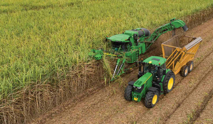 “Ngọt vị đường” - Mía đường Lam Sơn (LSS) báo lãi tăng 23%