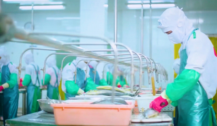 Cwin com sòng bạc trực tuyến thủy sản sang EU: Giải pháp giữ lợi thế của EVFTA
