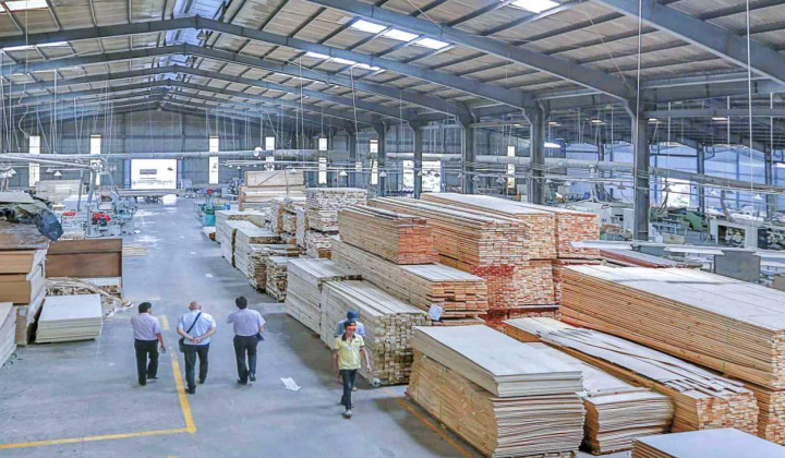 Lỗ “khủng” nhưng Gỗ Trường Thành (TTF) liên tục mở rộng hệ sinh thái