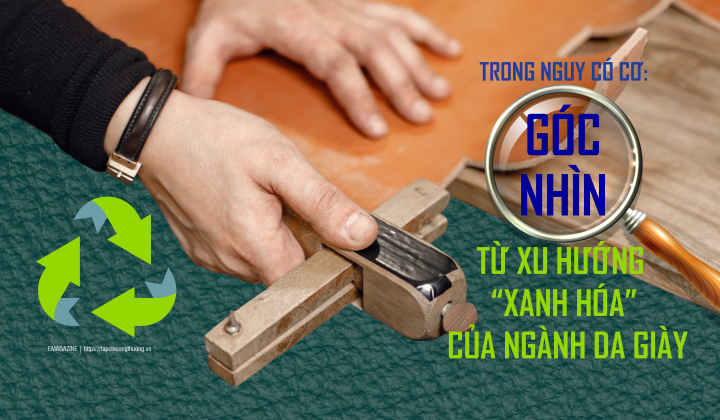 Trong nguy có cơ: Góc nhìn từ xu hướng “xanh hóa” của ngành da giày