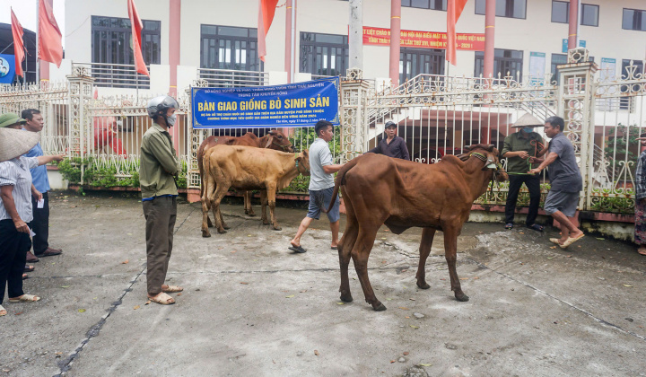 Thái Nguyên: Hỗ trợ bò và kiến thức kỹ thuật giúp người dân vươn lên thoát nghèo bền vững