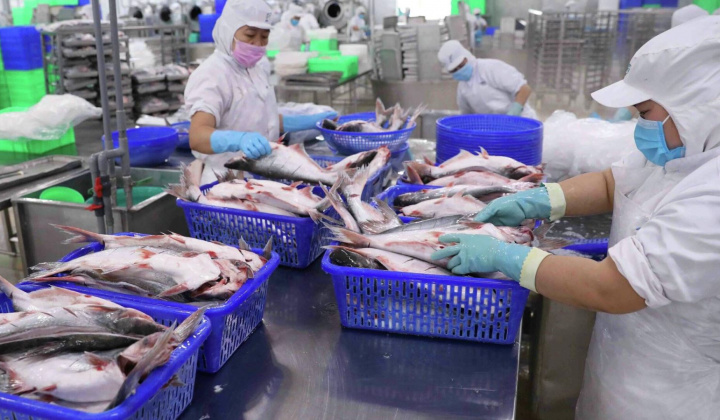 Tập đoàn GELEX (GEX) lấn sân sang mảng thuỷ sản, trở thành cổ đông lớn của SEAPRODEX