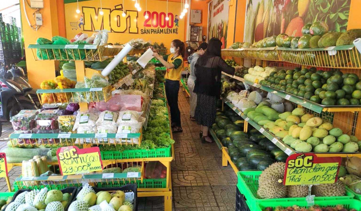 Bách Hoá Xanh: Sẽ hoàn tiền cho khách mua giá đỗ nhiễm hoá chất