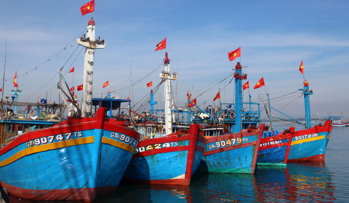 Xử lý triệt để, nghiêm minh vi phạm về Hệ thống giám sát hành trình tàu cá
