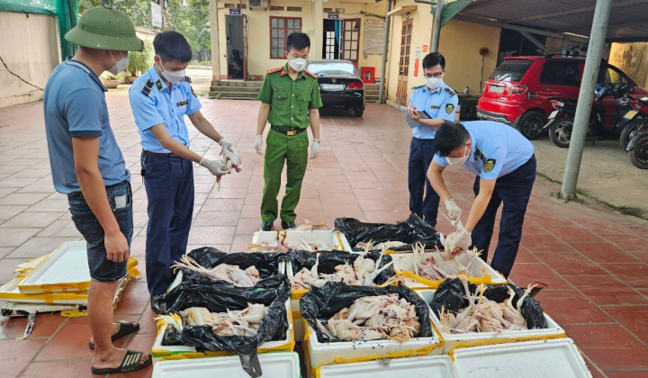 Thái Nguyên: Tiêu hủy gần 200kg thịt gà không đảm bảo an toàn Link vào Cwin Cá Cược Thể Thao 2026