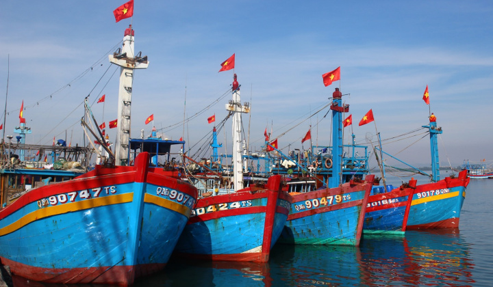 Hoàn thiện, vận hành hệ thống giám sát hành trình tàu cá thông suốt, hiệu quả