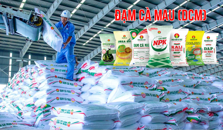 Đạm Cà Mau (DCM ): Đẩy mạnh Cwin Đăng Ký + 1888k, chiếm 18% tổng lượng phân bón Cwin Đăng Ký + 1888k cả nước