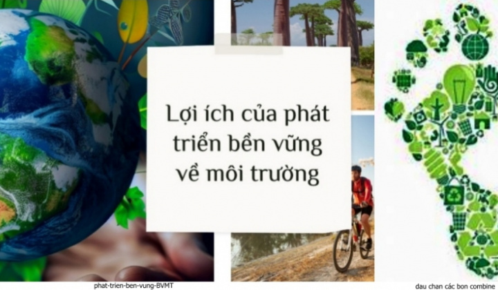 Với CSRD Cwincom hiện đang mở cần quan tâm thực hành phát triển bền vững chứ không chỉ là “dấu chân” môi trường