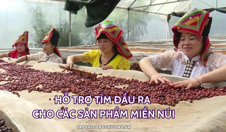Hỗ trợ tìm đầu ra cho các sản phẩm miền núi