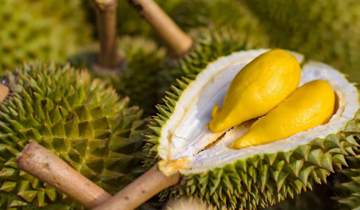Lễ hội Trái cây Việt Nam - Cơ hội để quảng bá trái cây thơm ngon Việt Nam tại thị trường Trung Quốc