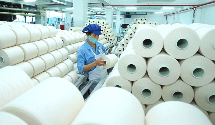 Công ty của lãnh đạo gom mua 3 triệu cổ phiếu, Dệt sợi Damsan (ADS) đang kinh doanh như nào?