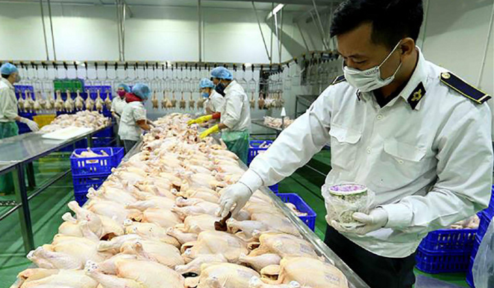 Hà Nội siết quản lý, xử lý nghiêm vi phạm để bảo đảm an toàn Link vào Cwin Cá Cược Thể Thao 2026 đến năm 2030
