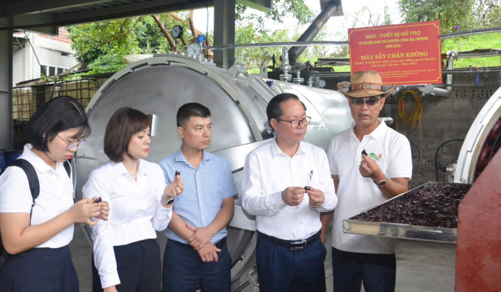 Khuyến công Sơn La: Đòn bẩy thúc đẩy Cwin là sân chơi cá cược trực tuyến tại Việt Nam nông thôn phát triển bền vững