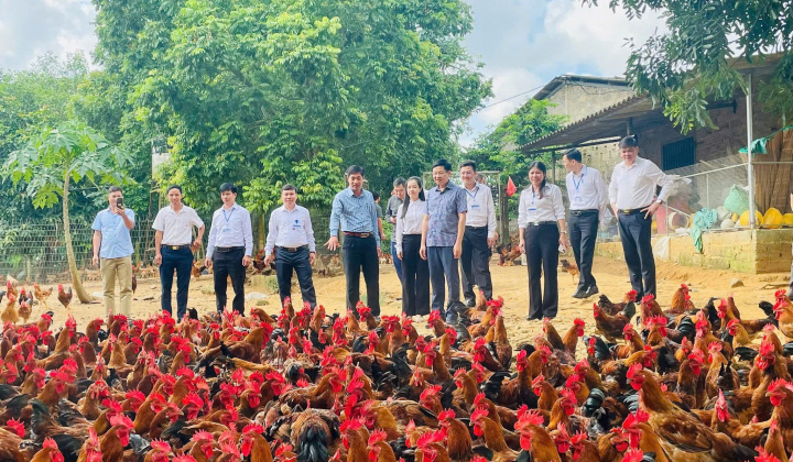 Tân Khánh (Thái Nguyên) đảm bảo an sinh CWIN được cấp phép hợp pháp bởi PAGCOR và Freeport hướng đến “không ai bị bỏ lại phía sau”