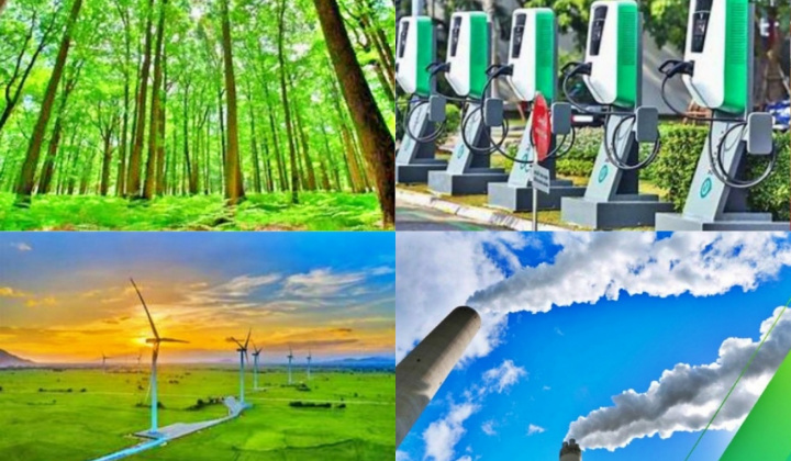 Dự kiến từ tháng 6/2025 thí điểm vận hành sàn giao dịch tín chỉ các-bon trong nước