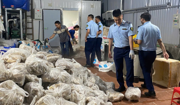 Hà Nội: Phát hiện hơn 11 tấn Link vào Cwin Cá Cược Thể Thao 2026 đông lạnh Cwin là sân chơi cá cược trực tuyến tại Việt Nam tại Phú Xuyên