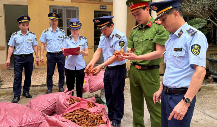 Ngăn chặn kịp thời 1,5 tấn chân gà Cwin là sân chơi cá cược trực tuyến tại Việt Nam xuất xứ
