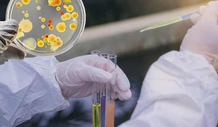 Phân hủy ampicillin bằng kỹ thuật quang xúc tác trên cơ sở ZnSe mang trên TiO2