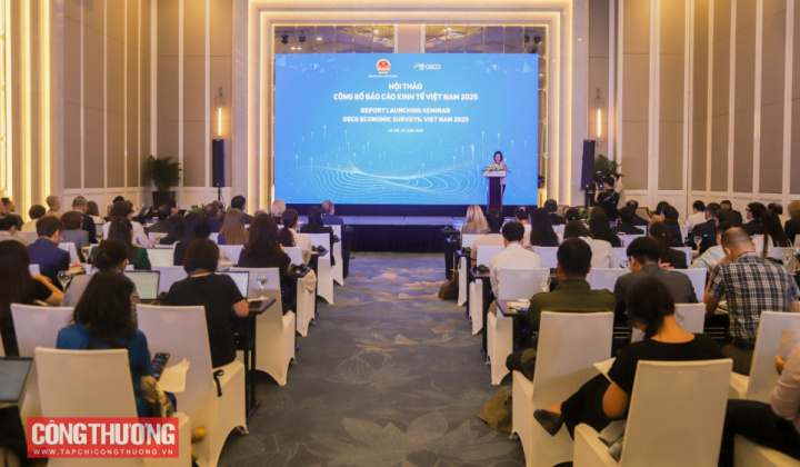Hướng tới nền kinh tế Việt Nam hội nhập, minh bạch, bền vững: Những khuyến nghị của chuyên gia quốc tế
