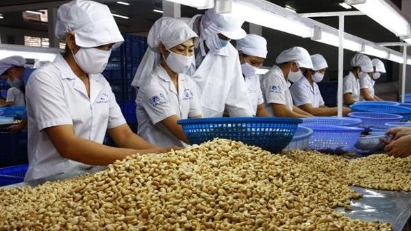 Hoa Kỳ tăng Cwin com sòng bạc trực tuyến hạt điều cao cấp, mở rộng nguồn cung ngoài châu Á