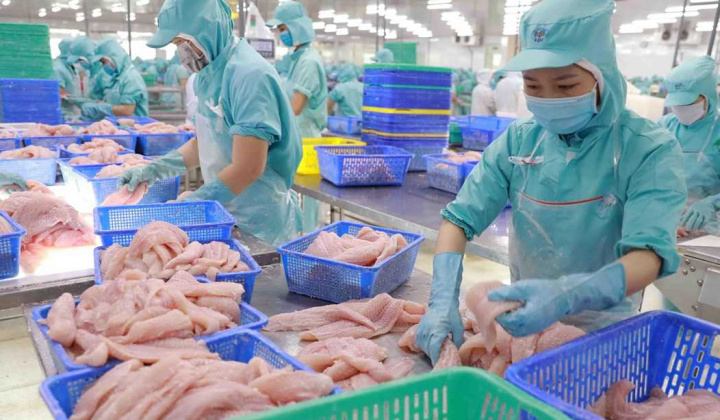 Cwin com sòng bạc trực tuyến cá tra kỳ vọng tăng tốc trong nửa cuối năm