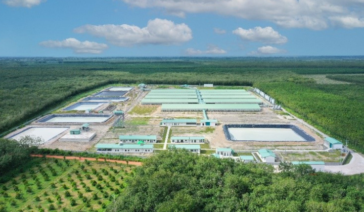 BAF Việt Nam (BAF): Tổng đàn heo tăng gấp đôi, lãi quý 2 “bùng nổ”