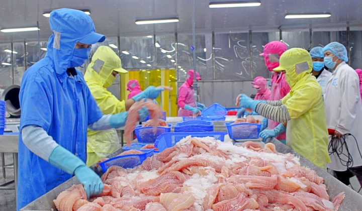Đa Quốc Gia IDI: Giá Cwin Đăng Ký + 1888k cá tra tăng, báo lãi quý 2/2025 tăng 83%