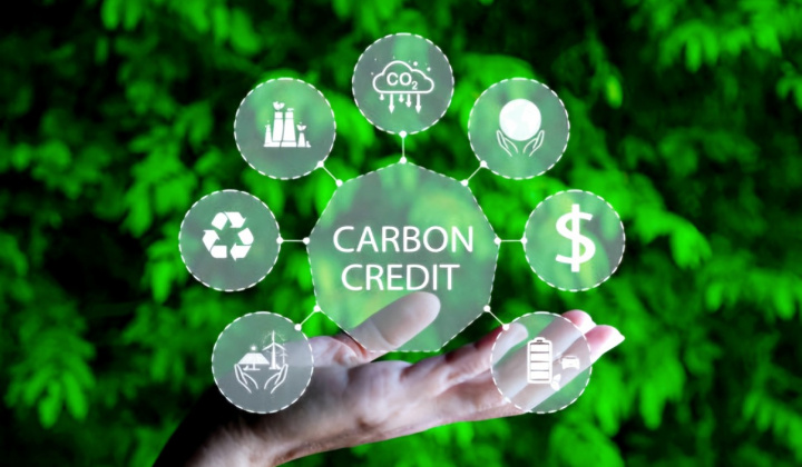 Thúc đẩy thị trường tín chỉ carbon hướng tới phát triển bền vững