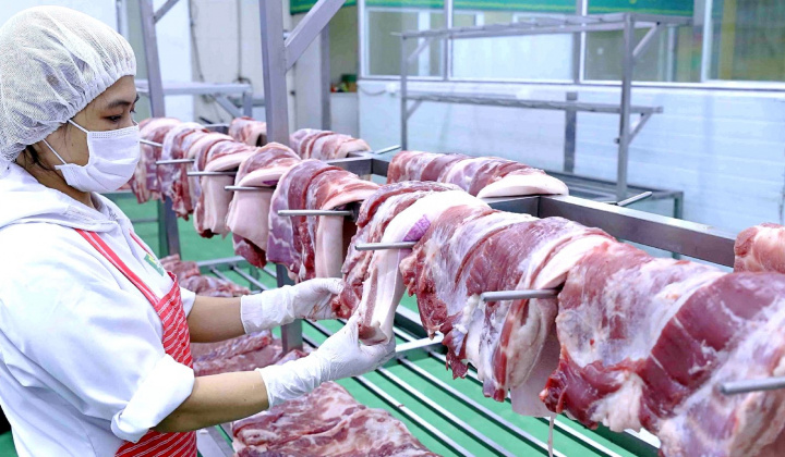 Các mảng kinh doanh cốt lõi tăng tốc, Tập đoàn Dabaco (DBC) báo lãi quý 2 tăng 3,5 lần