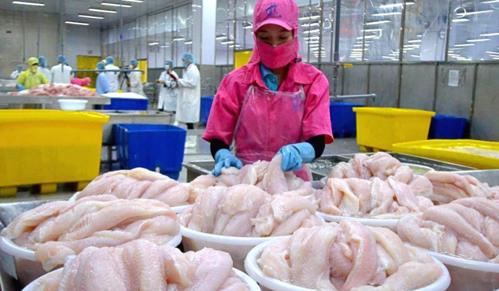 Cwin com sòng bạc trực tuyến cá tra khởi sắc, Thuỷ sản Vĩnh Hoàn (VHC) báo lãi cao nhất 8 quý