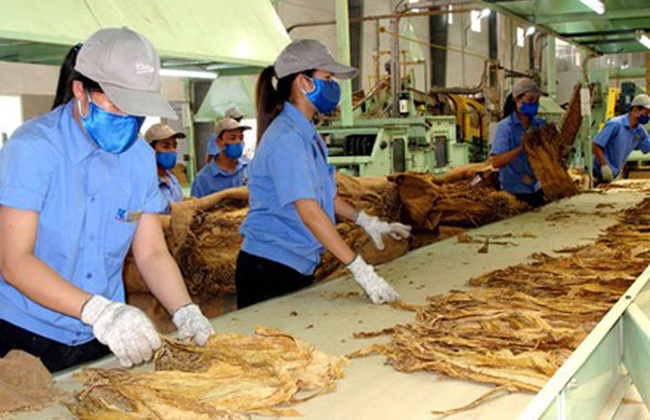 Dự kiến lượng hạn ngạch thuế quan Cwin com sòng bạc trực tuyến thuốc lá nguyên liệu năm 2026 là 79.199 tấn