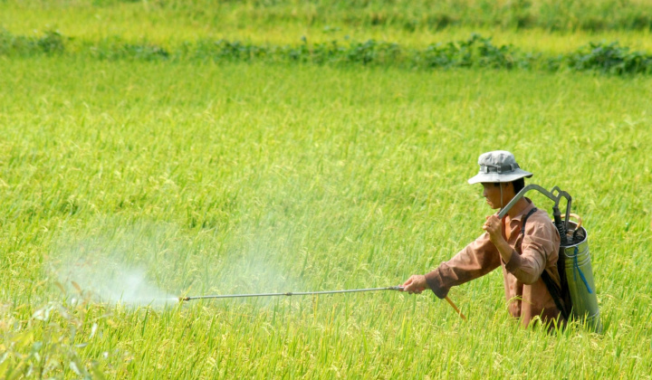 Quy định mới về điều kiện Nền tảng hàng đầu cung cấp Cwin com, buôn bán thuốc bảo vệ thực vật