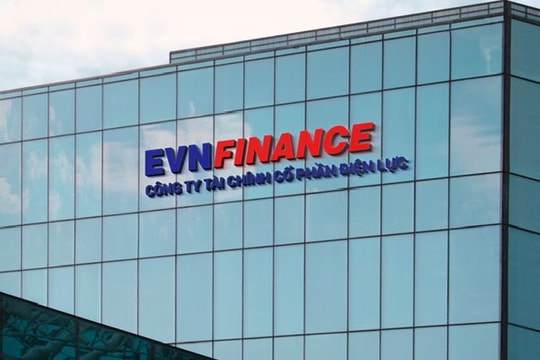 Công ty Tài chính Tổng hợp Cổ phần Điện lực bổ nhiệm Tổng Giám đốc mới