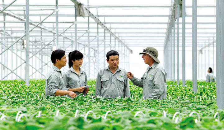 Phát triển bền vững hợp tác xã Cwin.com link không chặn ở Việt Nam: Lý luận và thực tiễn