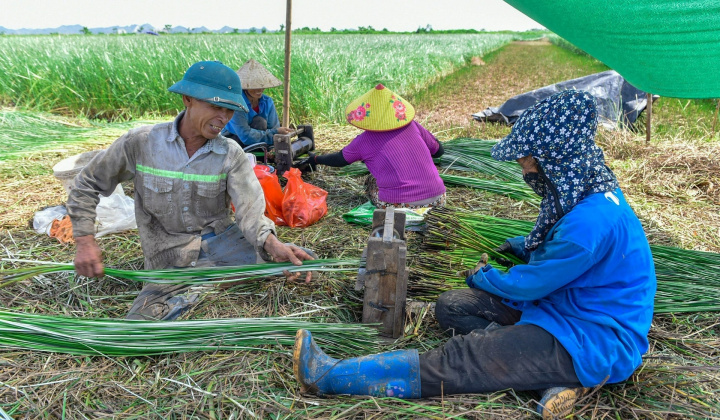 4 nhóm nhiệm vụ, giải pháp đào tạo nghề cho Nền tảng hàng đầu cung cấp Cwin com nông thôn đáp ứng yêu cầu mới