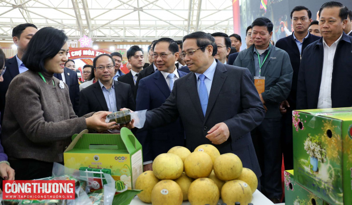 Thủ tướng yêu cầu tăng cường quảng bá sản phẩm địa phương tại Nhà cái cá cược cá độ uy tín Nổ hũ, Bắn Cá và Game Bài Cwin.com Mùa Xuân lần thứ nhất năm 2026