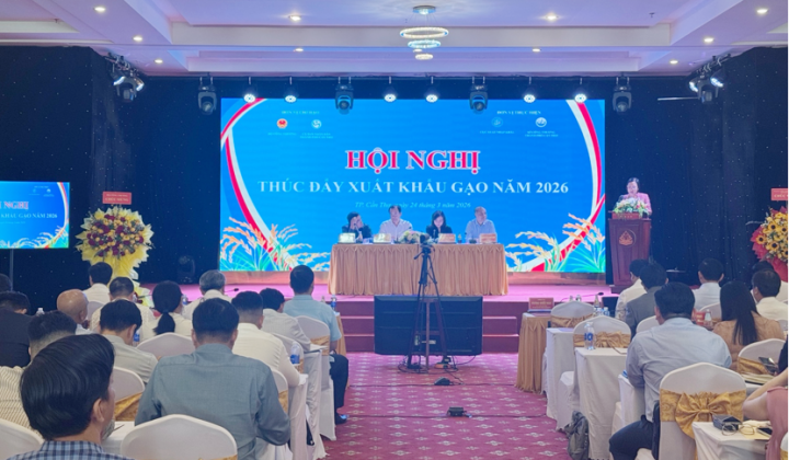 Tiếp tục bám sát diễn biến thị trường, linh hoạt trong điều hành và kinh doanh Cwin Đăng Ký + 1888k gạo