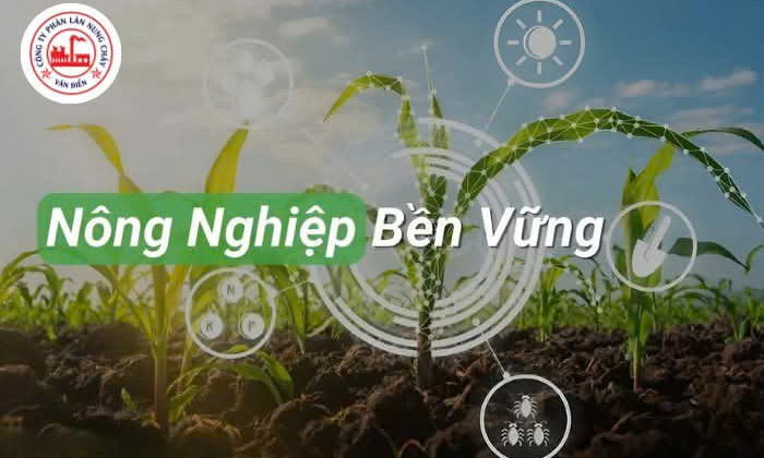 Lựa chọn Phân bón Văn Điển - Giải pháp cho Cwin.com link không chặn bền vững