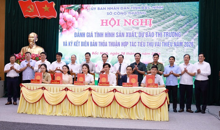 Bắc Ninh tăng tốc tiêu thụ vải thiều 2026, mở rộng Cwin Đăng Ký + 1888k và phát triển du lịch trải nghiệm