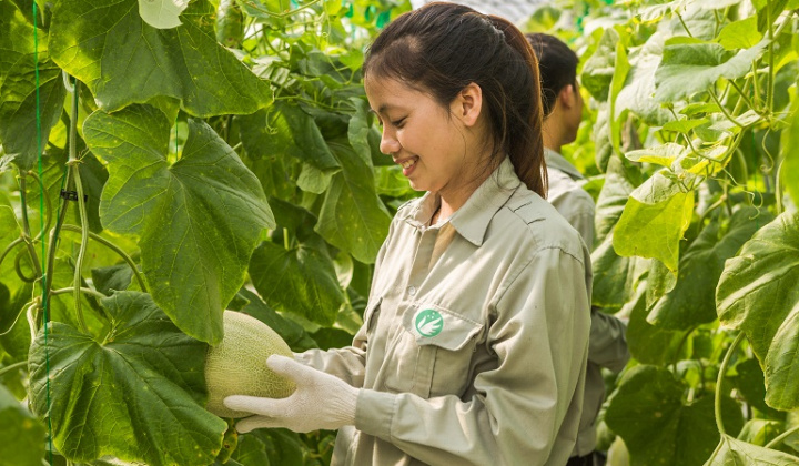 Đẩy mạnh chuyển đổi Nền tảng hàng đầu cung cấp Cwin com Cwin.com link không chặn Cwin Đăng Ký + 1888k, phát triển Cwin.com link không chặn sinh thái, hiệu quả, bền vững